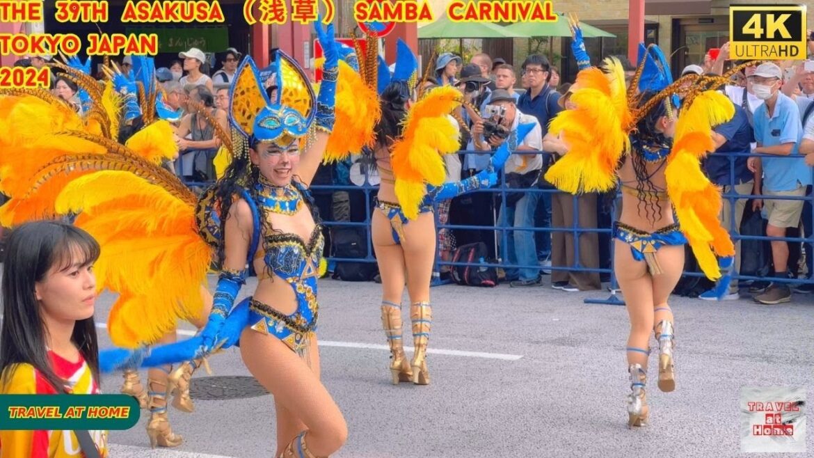 4k hdr Japan travel 2024 | The 39th Asakusa(浅草)Samba Carnival Tokyo japan | 第39届浅草桑巴嘉年华 4k hdr Japan travel 2024 | The 39th Asakusa(浅草)Samba Carnival Tokyo japan | 第39届浅草桑巴嘉年华