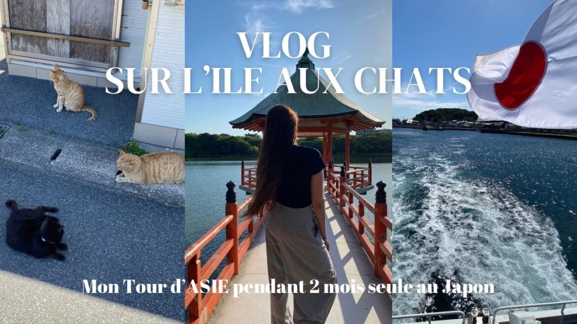 JE PARS FAIRE UN TOUR D'ASIE PENDANT 2 MOIS SEULE : Vlog à Fukuoka, je visite l'île aux chats