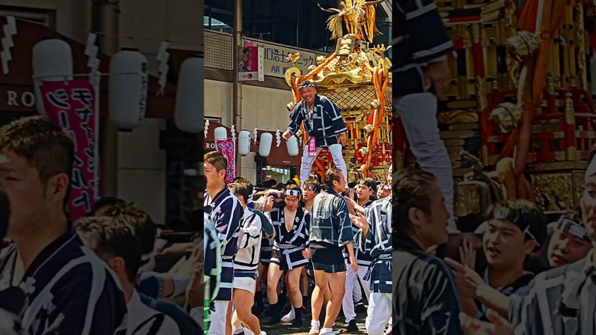 Biggest Portable Shrine Festival in Southern Japan. Tour & Art - #おぎおんさぁ Kagoshima 鹿児島