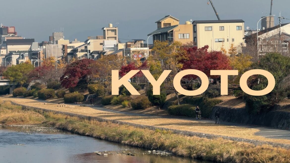 Autumn in Kyoto 🍂 🇯🇵 Pt. 2 – lots of food ✨ (Genkoan Temple, Nishiki Market, Pontocho, Gion, etc.) Autumn in Kyoto 🍂 🇯🇵 Pt. 2 - lots of food ✨ (Genkoan Temple, Nishiki Market, Pontocho, Gion, etc.)