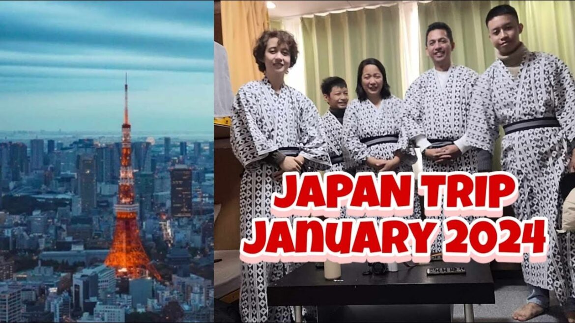 Nagoya Airport to Tokyo, Japan Winter Travel January