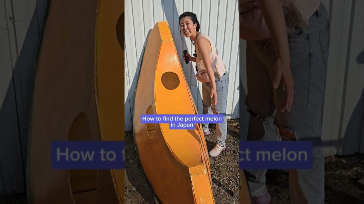 The sweetest fruit you’ll ever taste #japantravel #melon #musttry The sweetest fruit you’ll ever taste #japantravel #melon #musttry