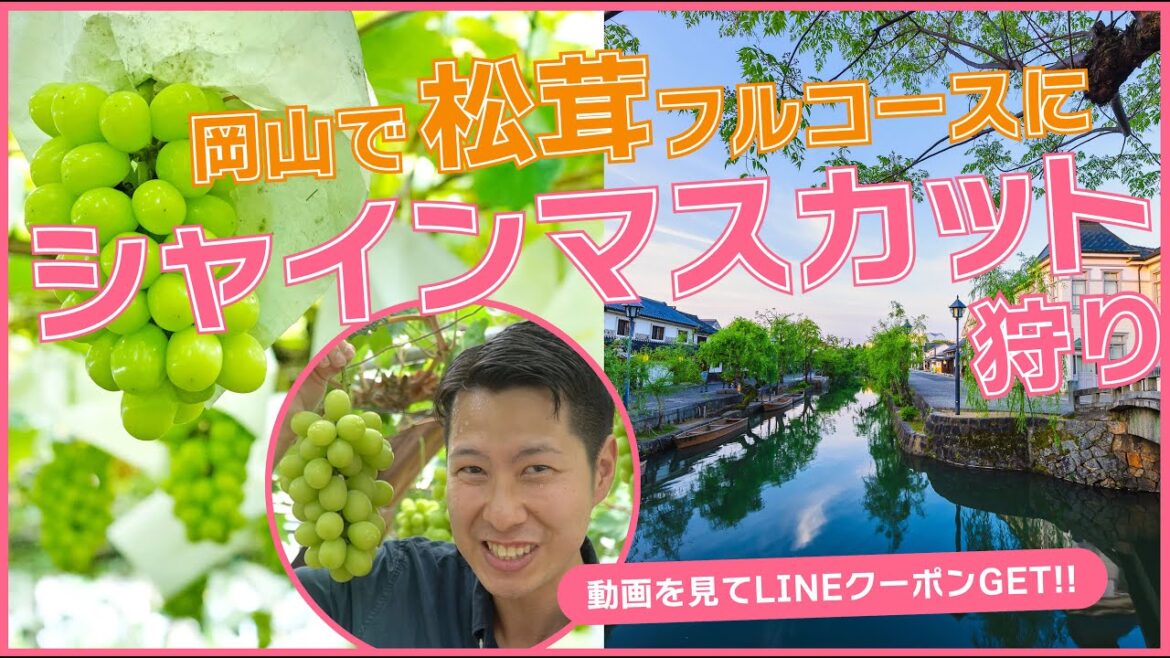 【岡山旅行】シャインマスカット食べ放題に一房持ち帰り松茸尽くしのランチに倉敷美観地区散策【バスツアー】