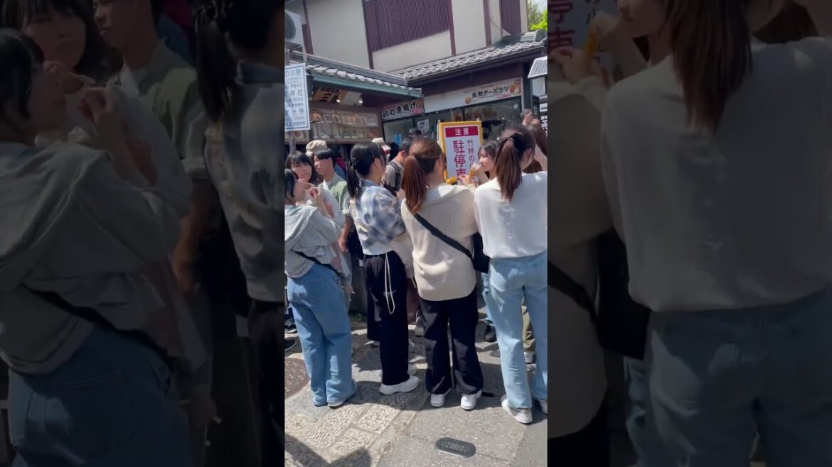 Arashiyama Japan #shorts#viralvideos#travel Arashiyama Japan #shorts#viralvideos#travel