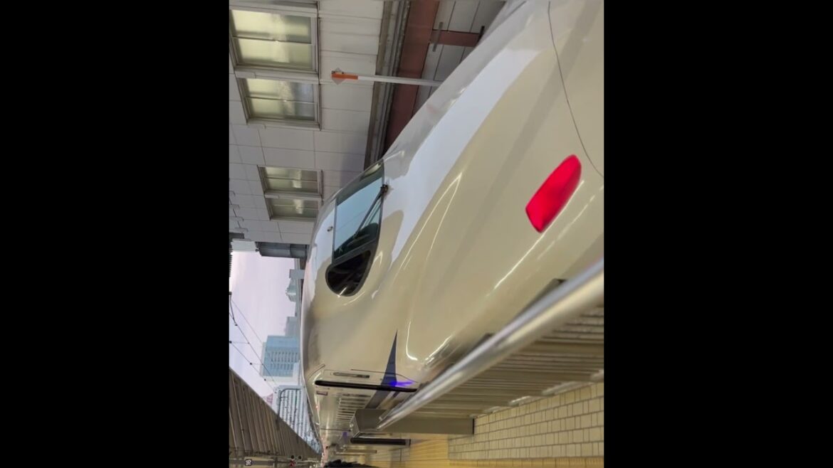 Japan, Tokyo | Shinkansen train | Deaf Vlog #japan #travel #deafvlogger #shinkansen #bullettrains