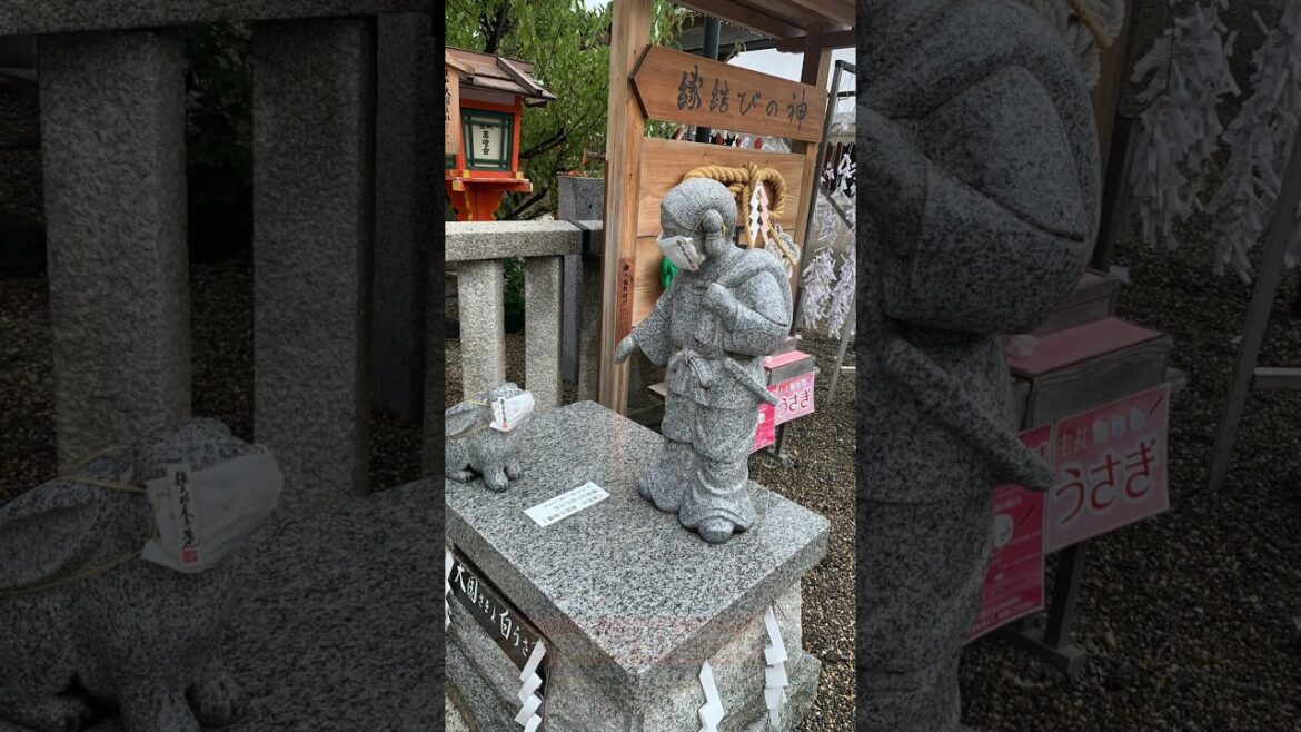 Where are the tourists?  #shorts #kyoto #tourist #Japan