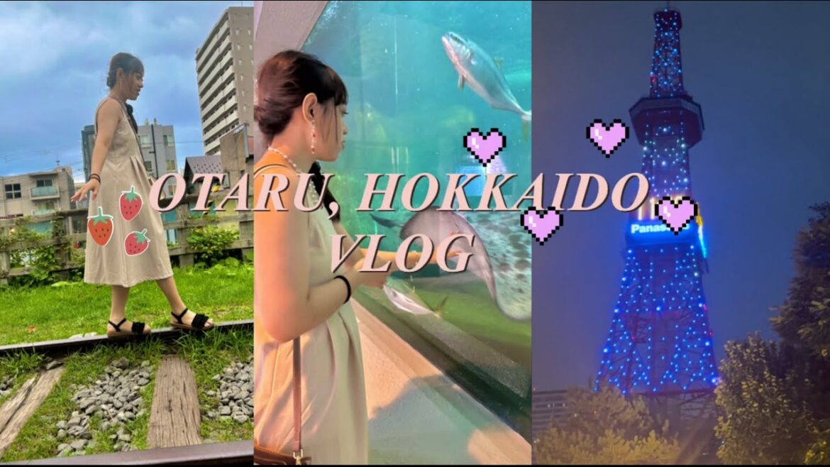 Otaru Hokkaido Vlog #travelvlog #japan #hokkaido
