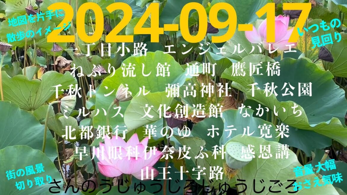 2024-09-17さんのうじゅうじろじゅうじごろ