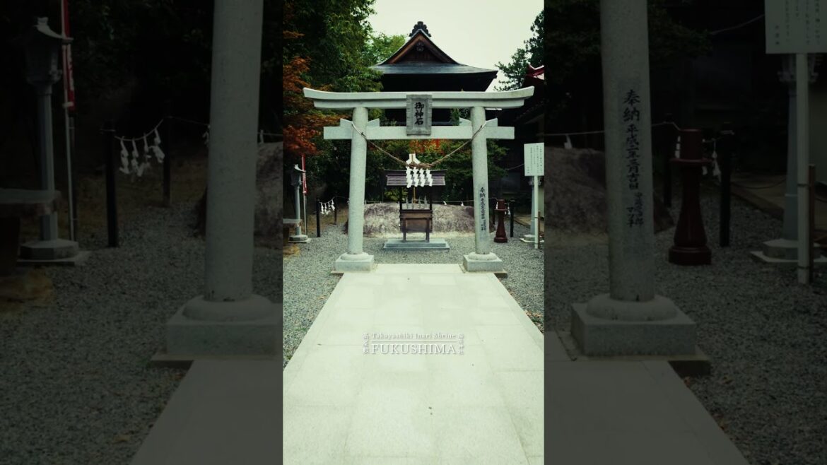 The Shrine with 100+ Tori Gates... #shorts