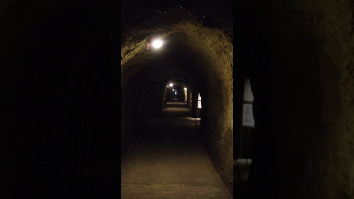 Underground Sake Storage  #traveljapan #sake #cave