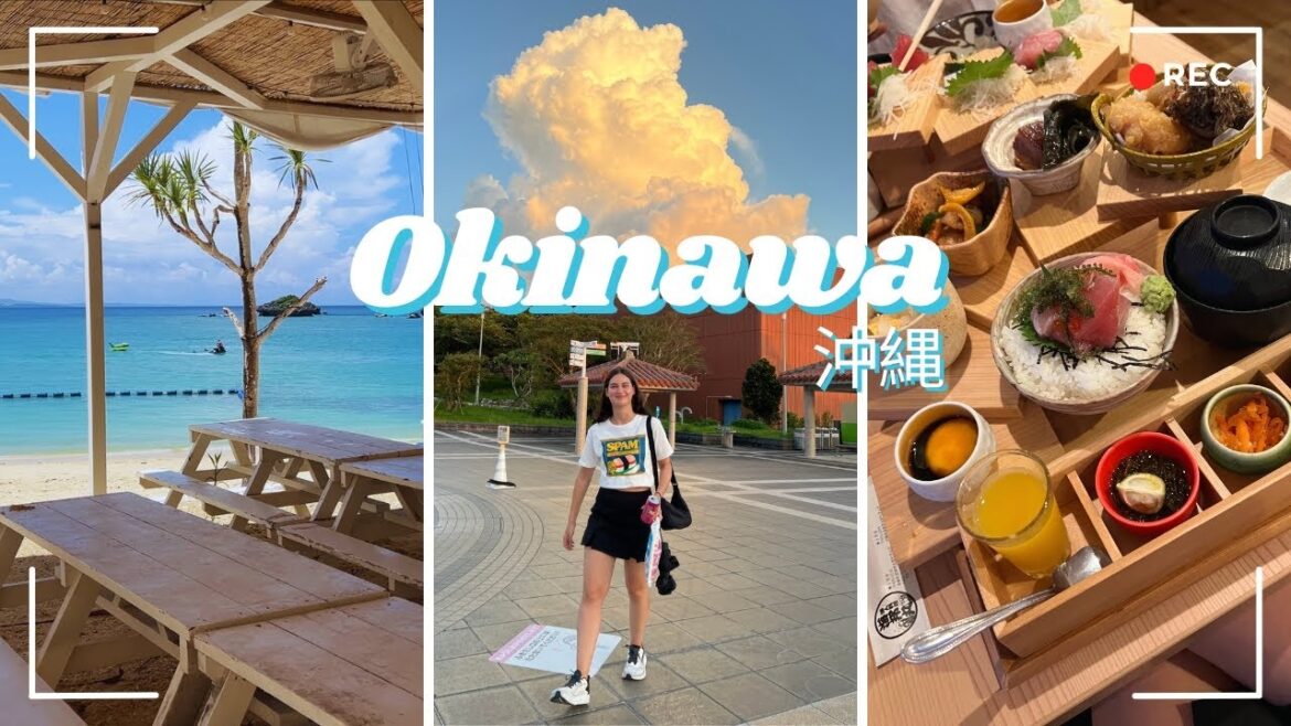 Okinawa Moments 沖縄 🐳🌴 | Nago Vlog: Churaumi Aquarium, Minna Island & Local Eats