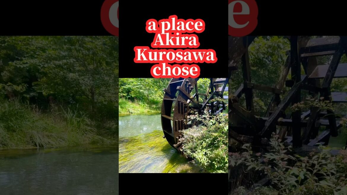 Dive!! Land of spring water heaven #japantravel #visitjapan
