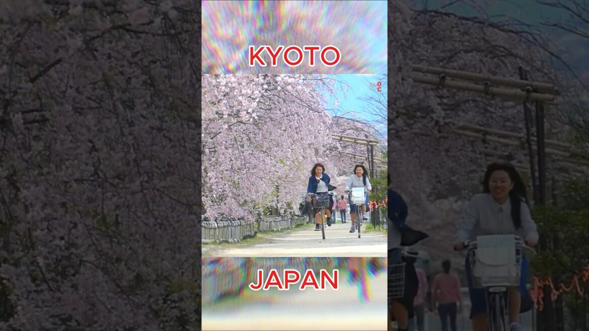 kyoto japanese #travel