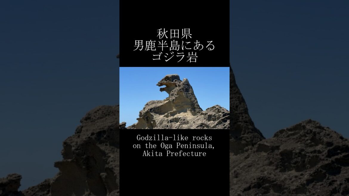 秋田県男鹿半島にあるゴジラ岩 Godzilla-like rocks on the Oga Peninsula, Akita Prefecture #shorts #ゴジラ #godzilla