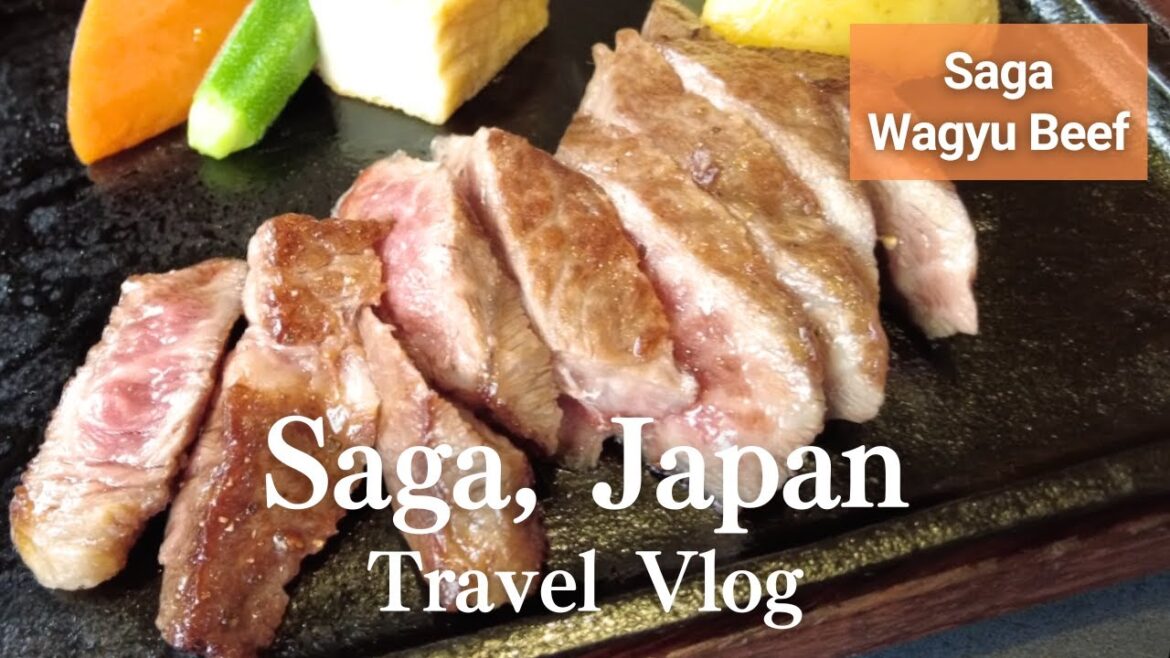 Travel to Saga Prefecture, where seafood is nice.