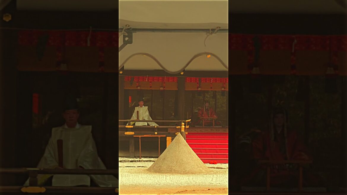 Karasu Sumō at Kamigamo shrine in Kyoto! Part 1 #travel #sumo #shorts #shortsviral #shortsyoutube
