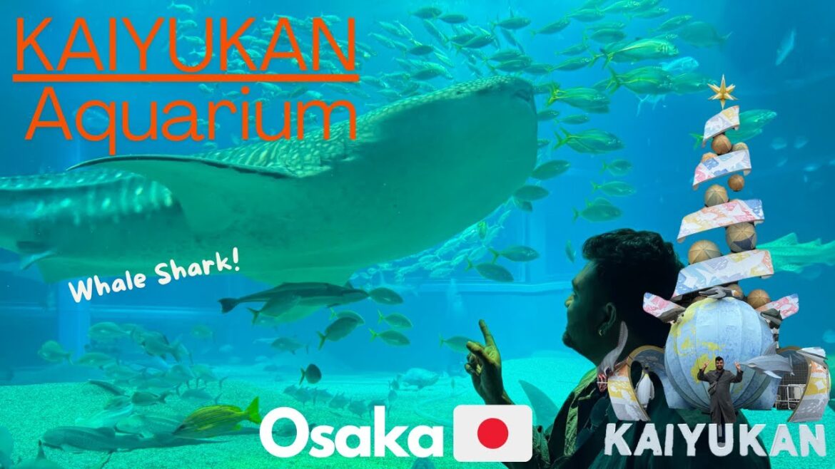 Osaka’s Incredible Kaiyukan Aquarium: A Journey Through the Deep Blue | Japan Travel Vlog Osaka’s Incredible Kaiyukan Aquarium: A Journey Through the Deep Blue | Japan Travel Vlog