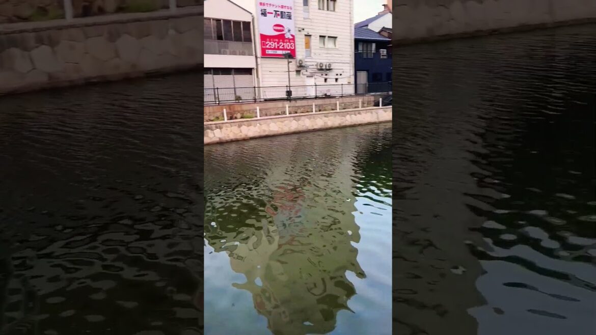 Fukuoka Riverside #japan #travel