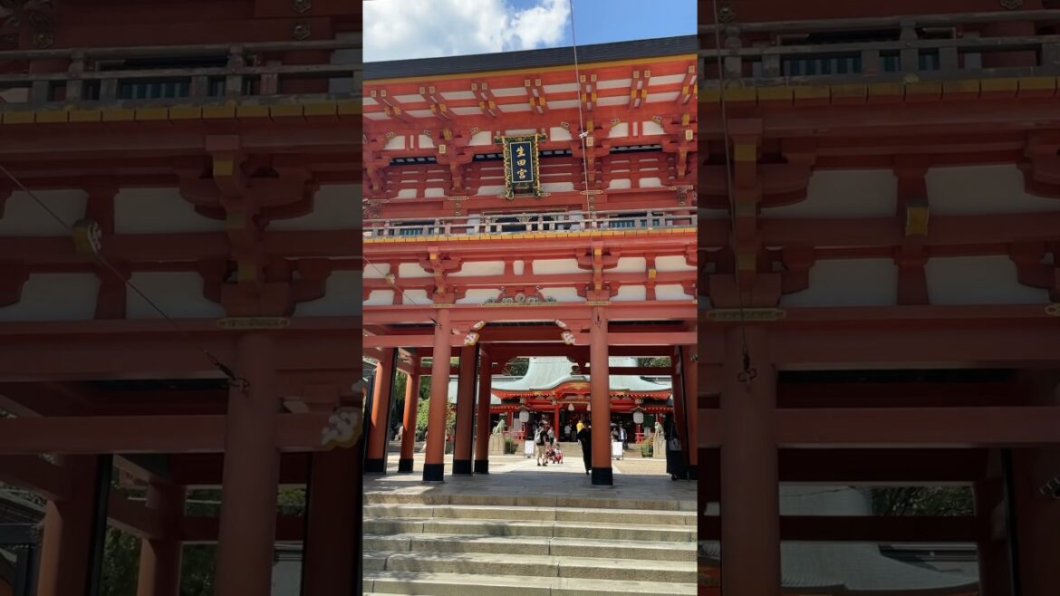 【パワースポット】縁結びのご利益があることで有名な生田神社 #生田神社 #神社 #縁結び #神戸 #shorts