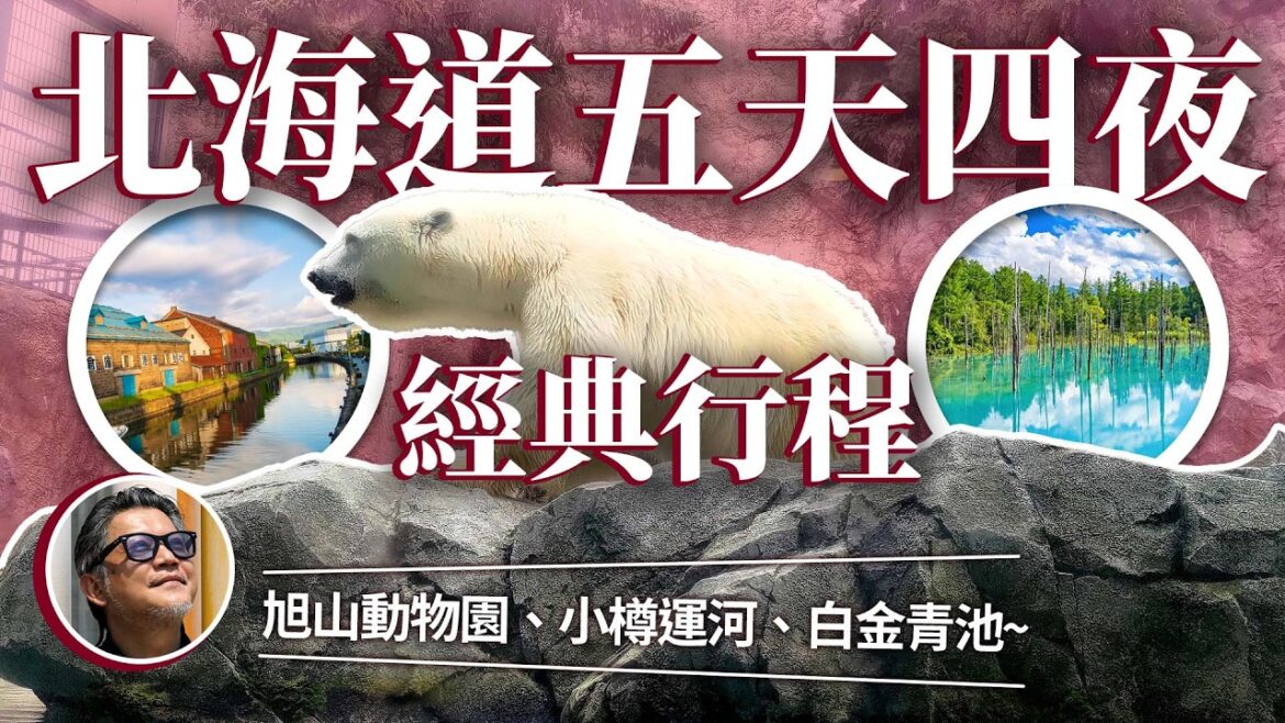 夏季北海道自駕這樣玩!五天四夜 道央旅遊經典行程 |日本旅遊|美瑛|富良野|東川町|旭山動物園|小樽運河|札幌 夏季北海道自駕這樣玩!五天四夜 道央旅遊經典行程 |日本旅遊|美瑛|富良野|東川町|旭山動物園|小樽運河|札幌