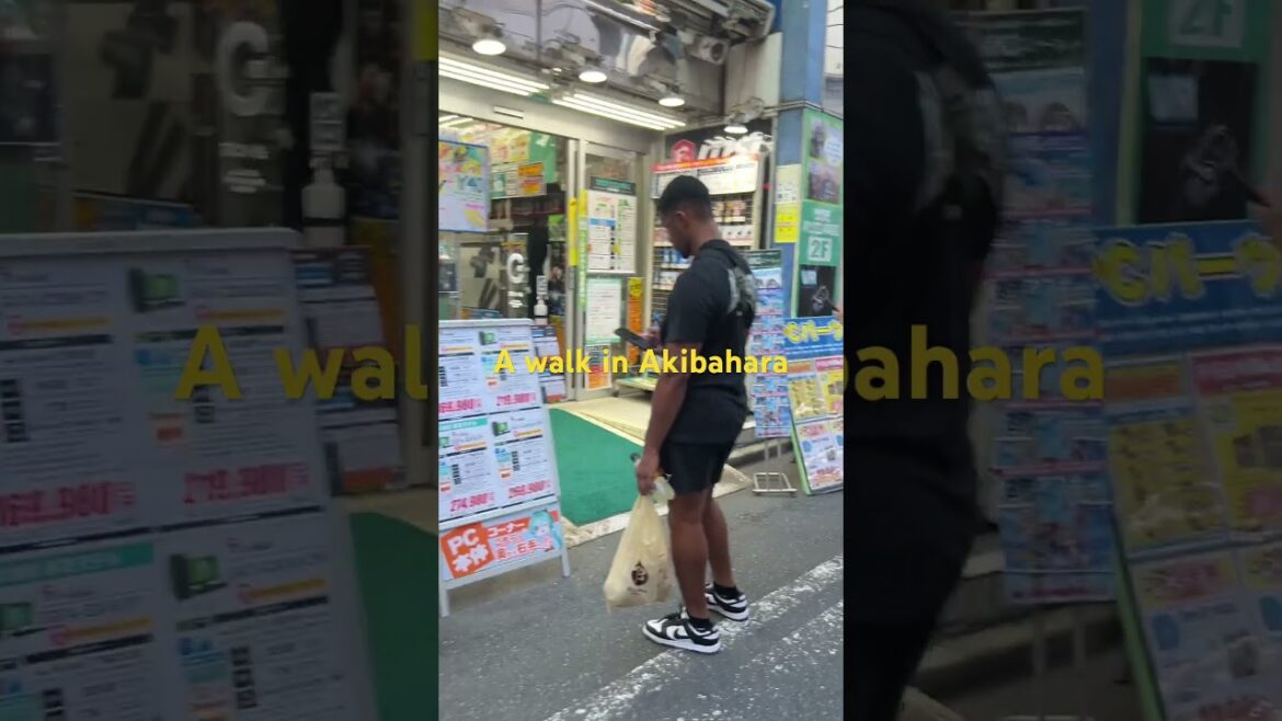 A walk in Akibahara