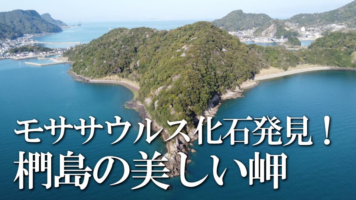 【熊本】ヌルギ崎 編 ( Vol.339 )/九州初モササウルス化石発見の椚島(くぐしま)岬【4K空撮】 【熊本】ヌルギ崎 編 ( Vol.339 )/九州初モササウルス化石発見の椚島(くぐしま)岬【4K空撮】
