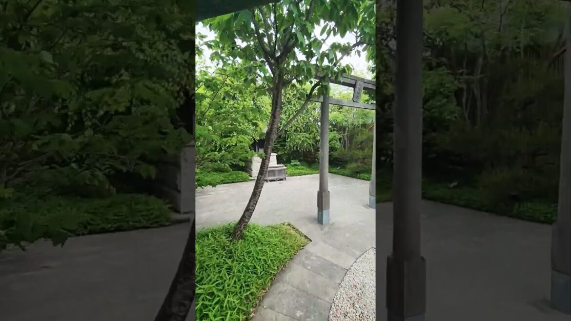 Kushida shrine, Fukuoka #japan #calm #shorts