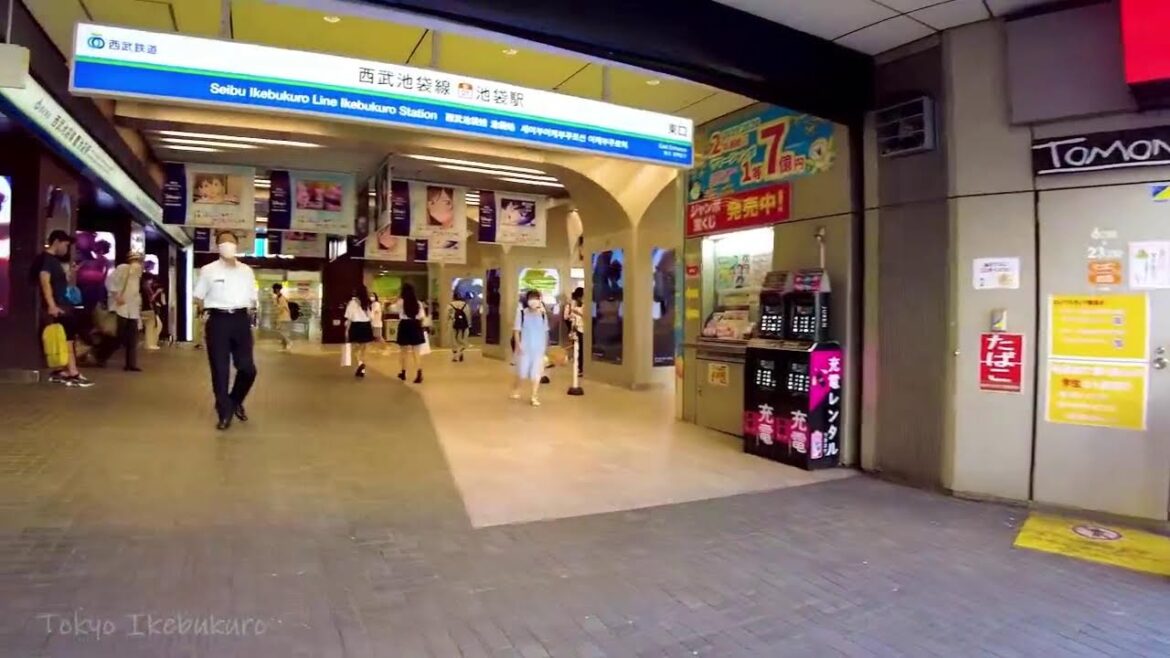 🔴Tokyo Walk Arrange 24/7🐶Akihabara, kabukicho, Shibuya , etc.😊🚶‍♀️