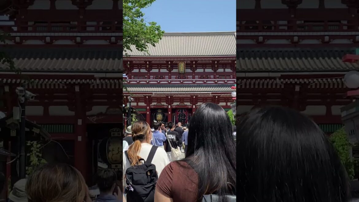 5 Things To Do In Tokyo