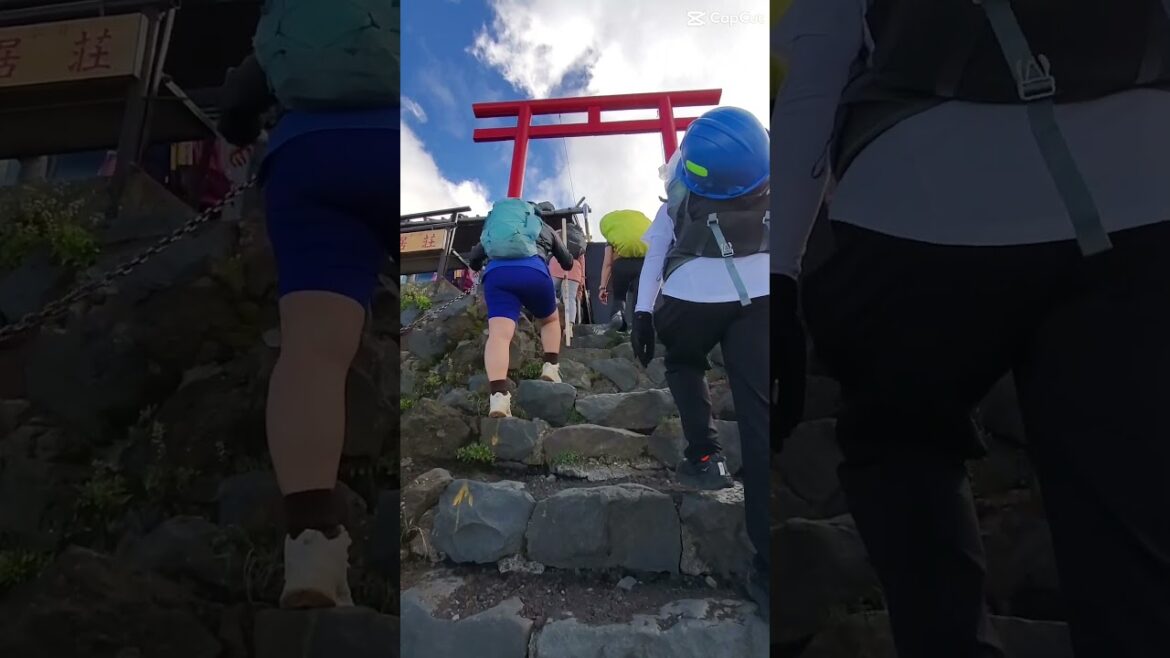 Wander Japan Mt.Fuji Climbing Tour 2024
