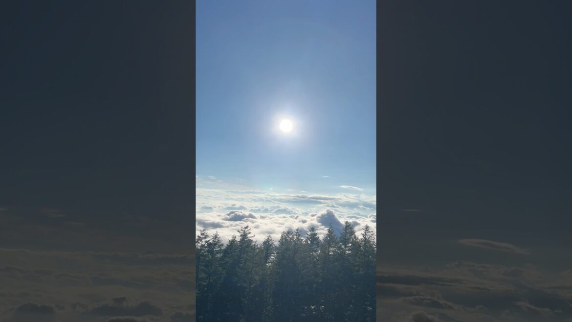 Above the ☁️ ⛅️ Mt Fuji #travel #explore #japan #mtfuji #tokyo #trending Above the ☁️ ⛅️ Mt Fuji #travel #explore #japan #mtfuji #tokyo #trending