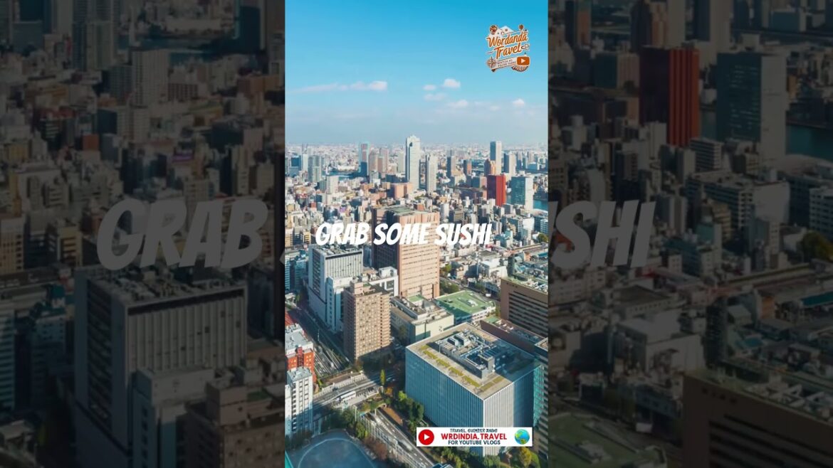 Exploring Tokyo: See Places & Hidden Gems for Your Next Trip / what places you can visit in tokyo