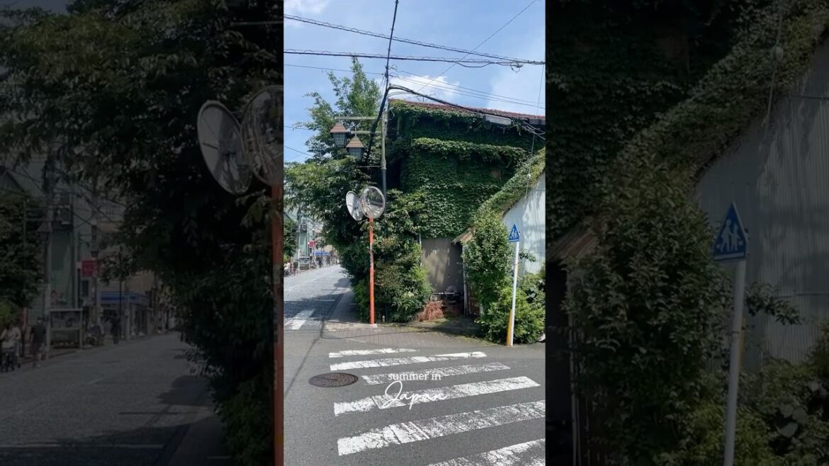 Summers in Japan 🌧️🌿 #japan #lifeinjapan #japanvlog #travel