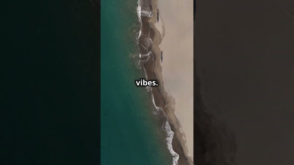 5 Hidden Gems in Japan You Must Visit! π―π΅β¨#japantravel #hiddengems #explorejapan #traveljapan 5 Hidden Gems in Japan You Must Visit! π―π΅β¨#japantravel #hiddengems #explorejapan #traveljapan