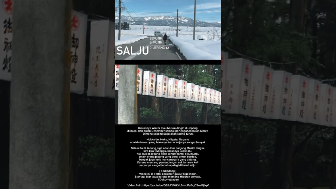 Suasana Musim Dingin di Jepang 🇯🇵 #japan #jepang #indonesia