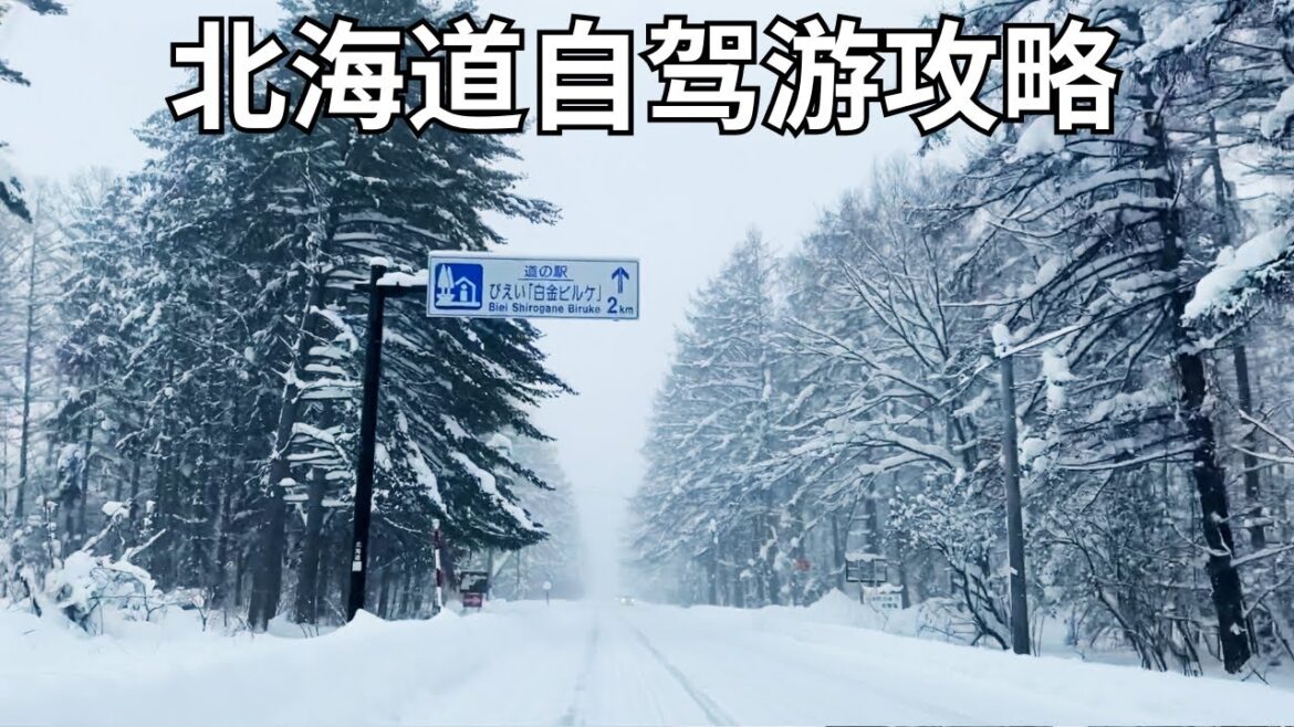北海道自驾游攻略|北海道冬天自驾、租车注意事项,酒店、美食、星野度假村玩法建议 北海道自驾游攻略|北海道冬天自驾、租车注意事项,酒店、美食、星野度假村玩法建议