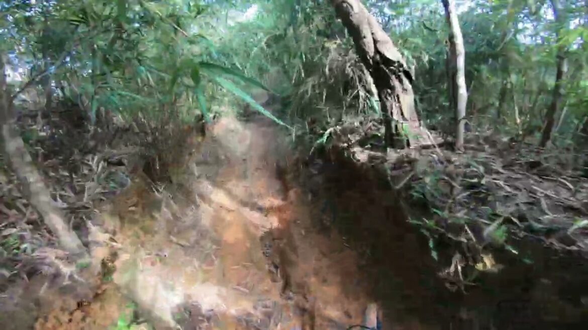 La Luge, but in… quality! #mtb #okinawa #gopro #travel La Luge, but in... quality! #mtb #okinawa #gopro #travel