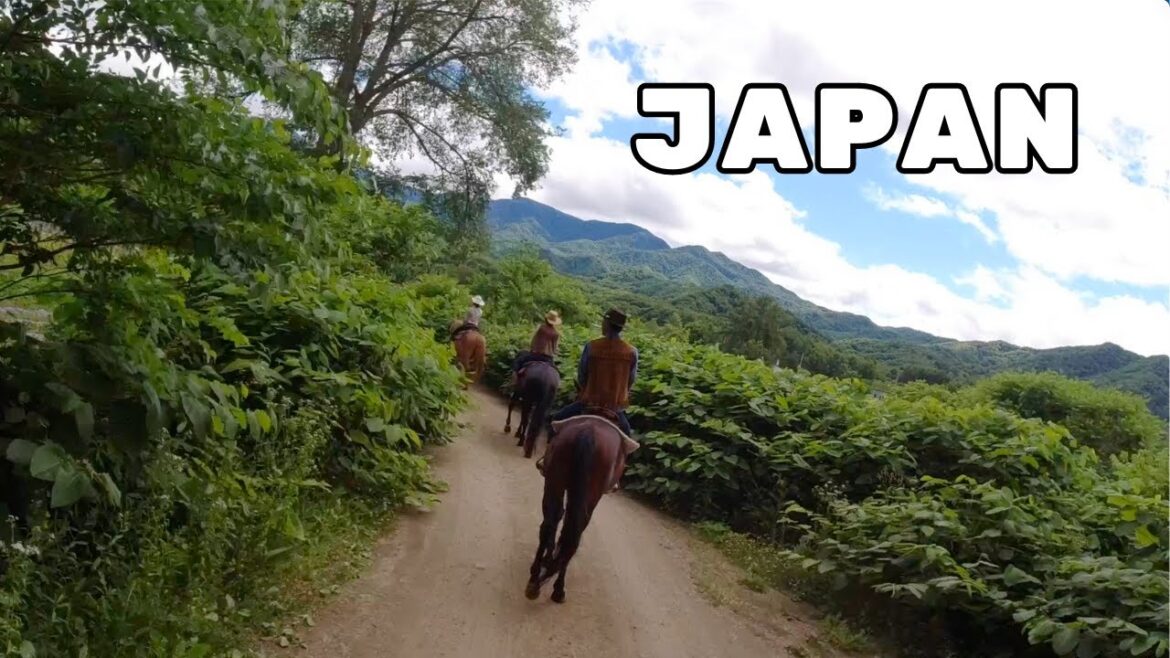 Horse riding in Japan: Sapporo