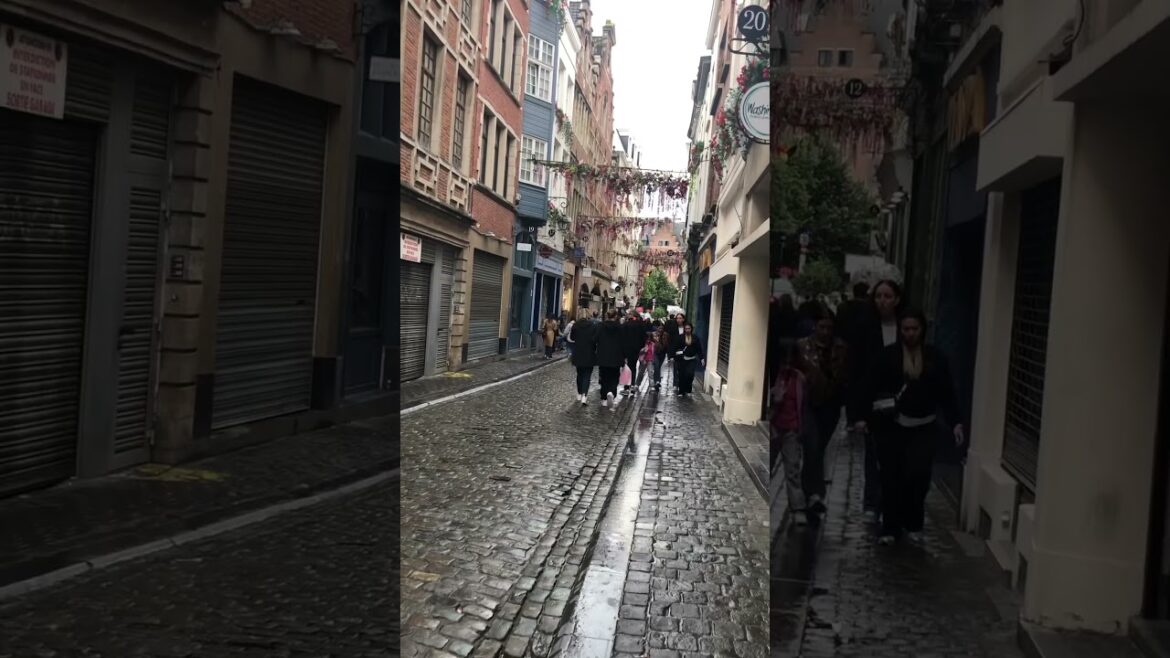 【BELGIUM】Must-See Attractive City scape – Brussels Cityscape 【BELGIUM】Must-See Attractive City scape - Brussels Cityscape