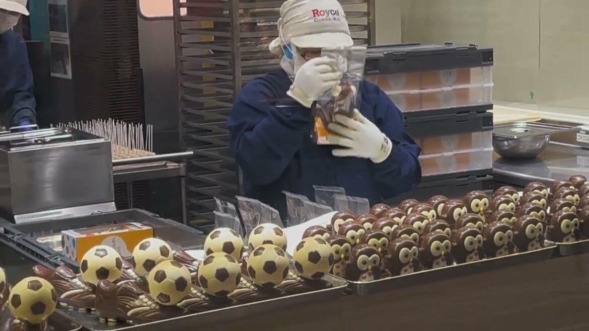 (52)  Sapporo-New Chitose Airport  14 Aug 2024 Videos Part 1