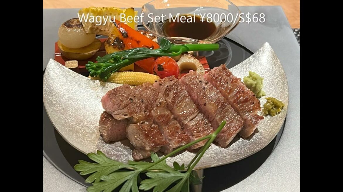 (51)  Sapporo-New Chitose Airport  14 Aug 2024 Part 2