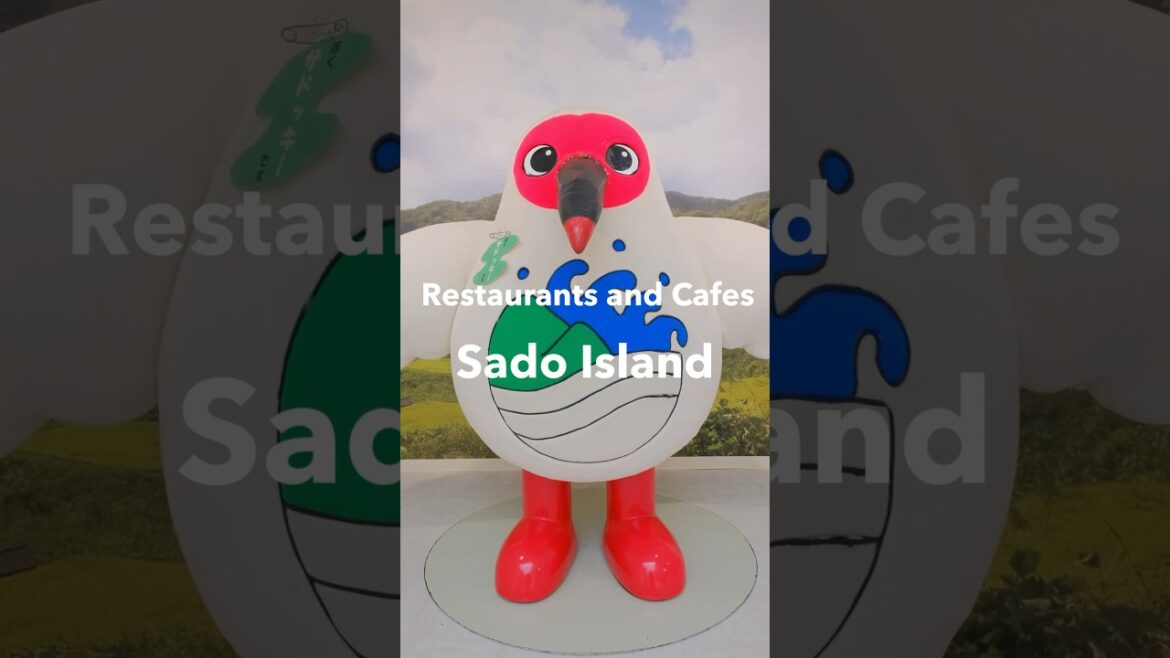 Recommended Restaurants and Cafes on Sado Island🇯🇵