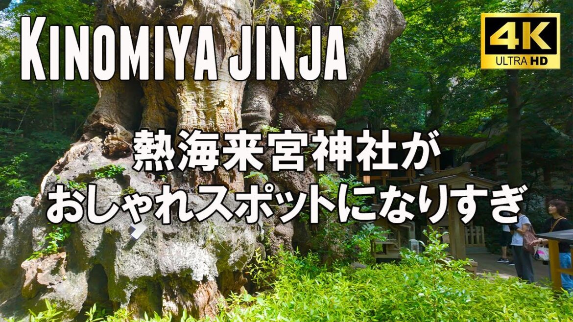 Japan - Walking in Atami's Kinomiya Shrine: Power of the 2000-Year-Old Tree ,Virtual Walk 【4k】
