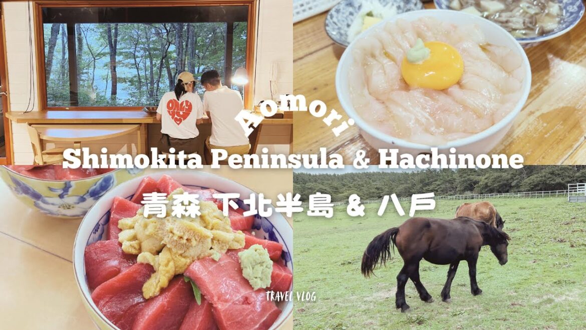 【Travel Vlog】乘搭渡輪向青森進發 | 下北半島 | 大間町黑鮪魚丼 | 八戶 | 蕪嶋神社 | 十和田湖旁入住小木屋 | 奧入瀨溪流 #Chloememories #青森 #奧入瀨溪流 【Travel Vlog】乘搭渡輪向青森進發 | 下北半島 | 大間町黑鮪魚丼 | 八戶 | 蕪嶋神社 | 十和田湖旁入住小木屋 | 奧入瀨溪流 #Chloememories #青森 #奧入瀨溪流