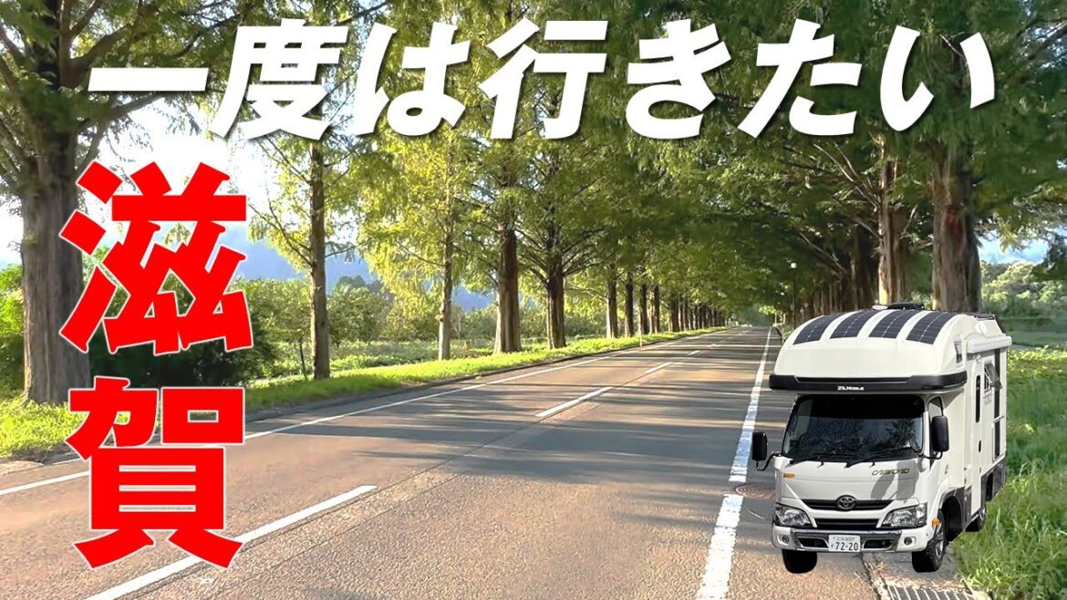 メタセコイア並木に一番近いRVパーク。 メタセコイア並木に一番近いRVパーク。