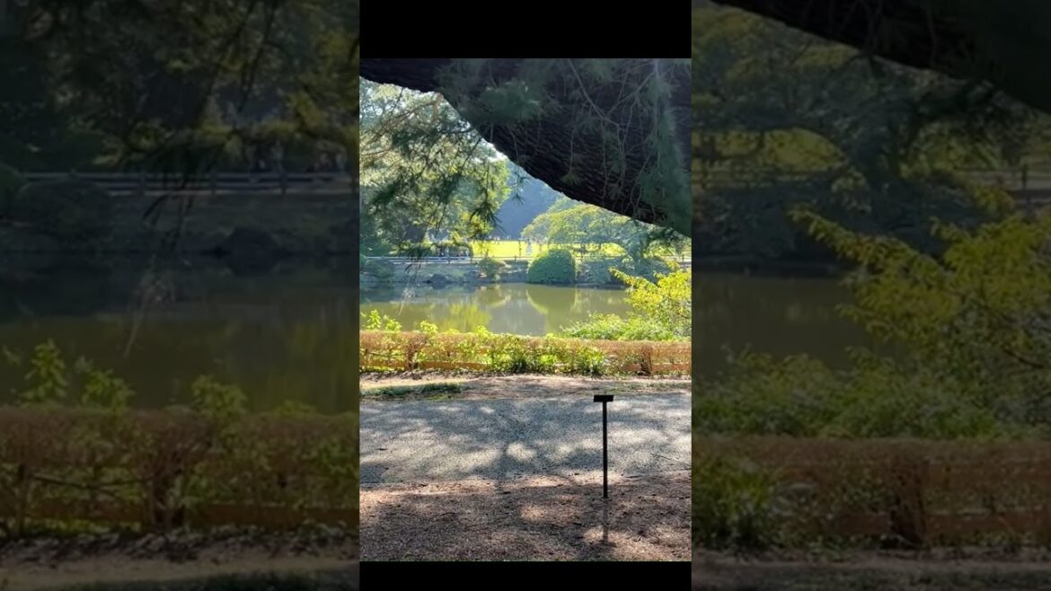 Top Tokyo Sights: Skytree, Imperial Palace & More ! Ultimate Japan Travel Guide #travel #tokyo Top Tokyo Sights: Skytree, Imperial Palace & More ! Ultimate Japan Travel Guide #travel #tokyo