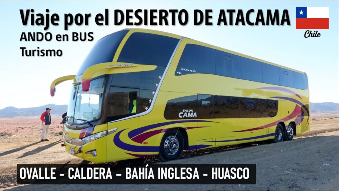 Viaje por el DESIERTO DE ATACAMA CHILE en bus de turismo Alex Tour | ANDO EN BUS TURISMO Viaje por el DESIERTO DE ATACAMA CHILE en bus de turismo Alex Tour | ANDO EN BUS TURISMO