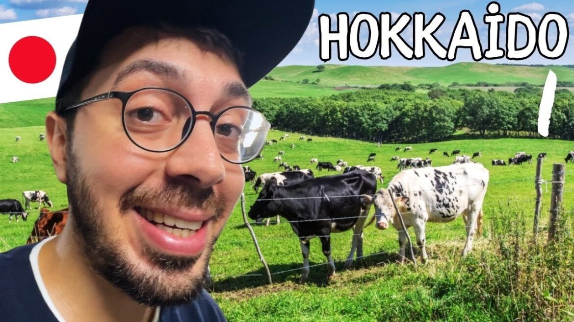 Sonunda Hokkaido’ya Gidiyorum,1. Günüm, Hızlı Tren,Hakodate Ve Japonya Gelecek Planları