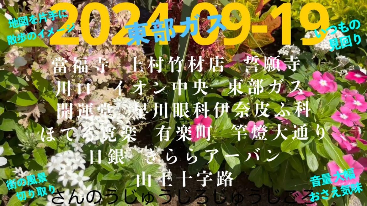 2024-09-19さんのうじゅうじろじゅうじごろ