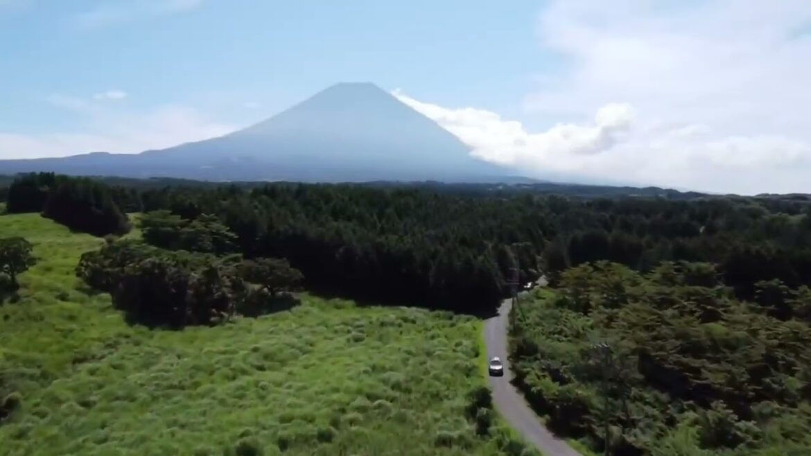 Café Shizen viewed from the sky